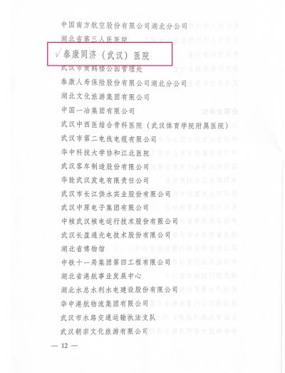 各区委平安建设领导小组，市委平安武汉建设领导小组各成员_页面_2