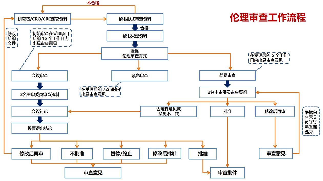 泰康同济（武汉）医院临床试验伦理审查委员会工作流程